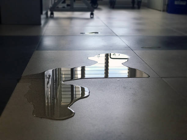 Best Water damage restoration services  in Bonham, TX