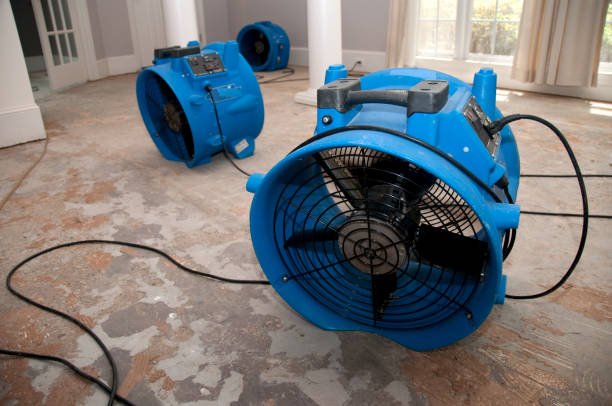 Best Water damage cleanup near me  in Bonham, TX